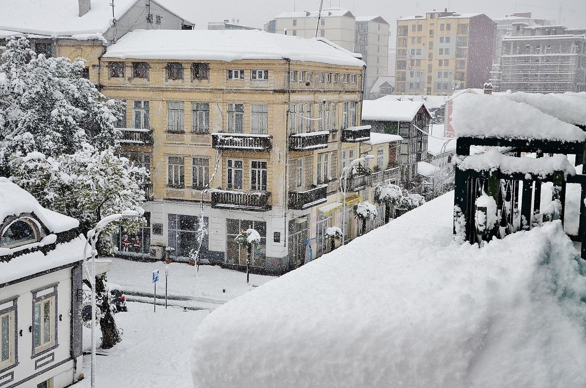 Пальмы в снегу фото